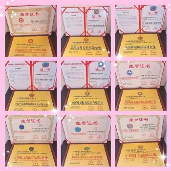 企业宣传要办的荣誉证书