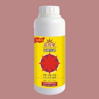 龙眼疏果原则，膨果增甜叶面追施肥使用花得果亚磷酸钾