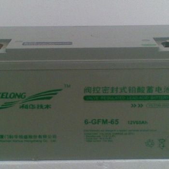科华6-GFM-65 12V/6**H 免维护蓄电池 及时发货