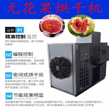 无花果烘干机水果干燥机除湿机烘箱烤房