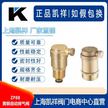 铜排气阀 黄铜排气阀