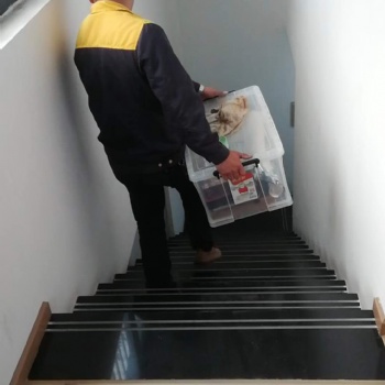 练市办公室搬家电话号码湖州搬家