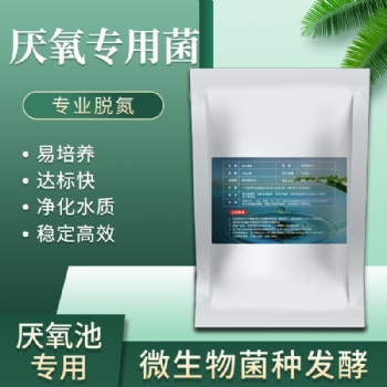 2021菌宝生物厌氧池缺氧菌种脱氮细菌生活污水工业废水除总氮