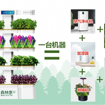 心福地森林家家庭空气站