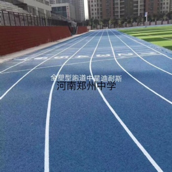 安徽学校塑胶跑道地面施工