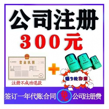 巢湖公司注册公司0元注册 全程无需到场 代账报税