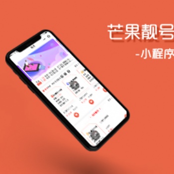小溪畅流开发案例--芒果靓号小程序