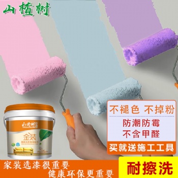 金装防霉乳胶漆内墙漆