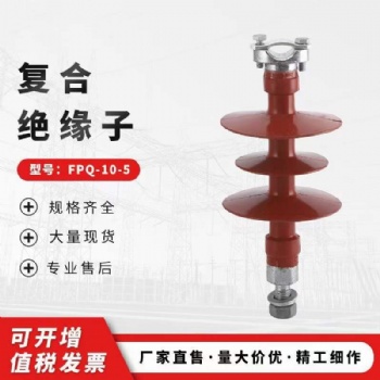 盘形悬式瓷复合绝缘子FXWP-70