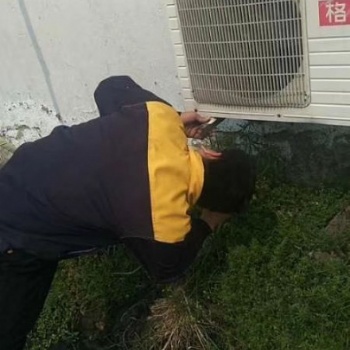 长兴单位搬迁收费标准一林城镇推荐