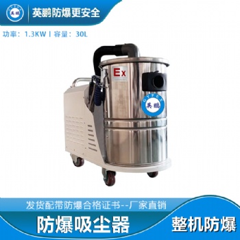 自贡金属粉尘防爆吸尘器