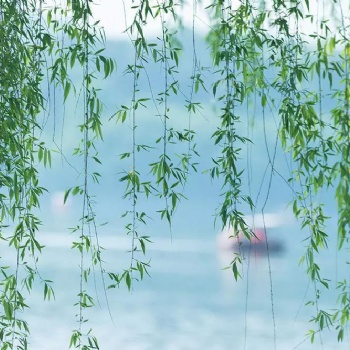 古琴弹奏的速度和细节