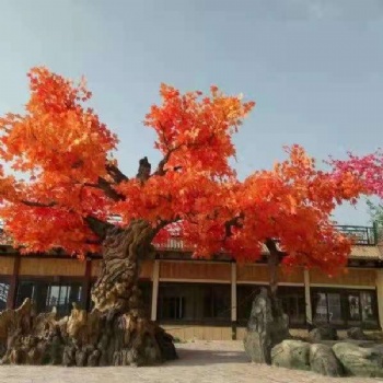 江油市室内水泥花树施工价钱
