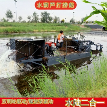 圣城割草船 水葫芦打捞船 浒苔打捞船 水浮莲打捞机械设备