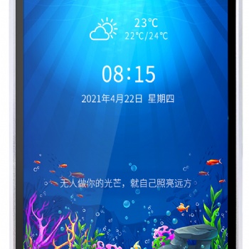 10.1寸双目平板 人脸识别一体机 触摸款