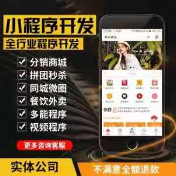 业务设计功能设计详细设计编码单元测试