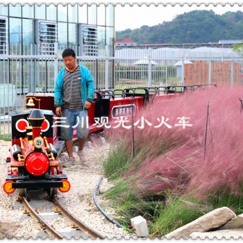森林花海16座观光小火车