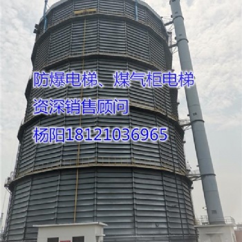 供应湖南省张家界市永定区防爆电梯、煤气柜电梯