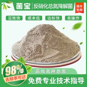 菌宝生物反硝化总细菌氮降解菌种脱氮厌氧池菌粉工业废水除氮