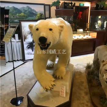 教学仿真北极熊模型展览仿真北极熊标本