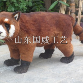 仿真小熊猫模型仿真小熊猫标本