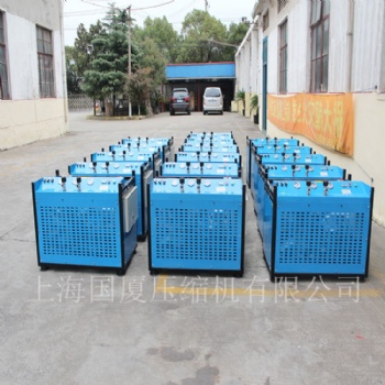 30MPA200L/min消防用呼吸压缩机国厦