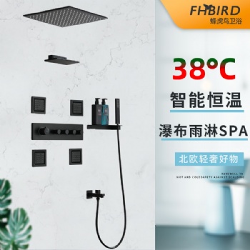 蜂虎鸟暗装恒温嵌入式花洒黑色吸顶带灯天幕雨淋瀑布花洒淋浴套装