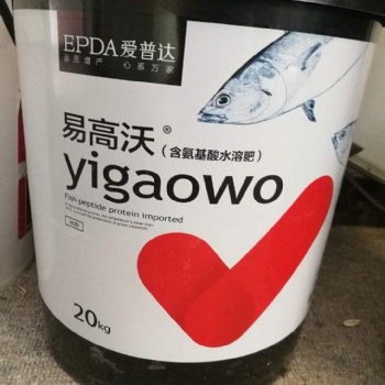 荔枝生根膨果抗寒用氨基酸鱼蛋白肥