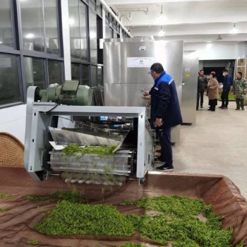 绿茶杀青机采用多层微波杀青设备的优势