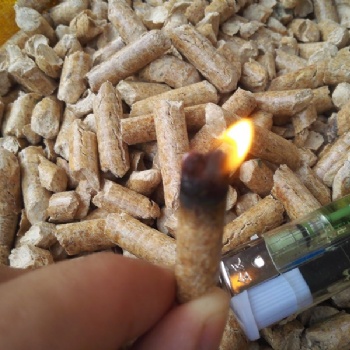 山东厂家供应生物质燃料