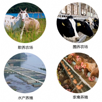 合肥智慧畜牧管理传统畜牧养殖智能化升级解决方案