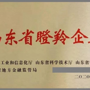 济宁申报瞪羚独角兽企业的具体条件是什么