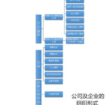 公司及企业的组织形式