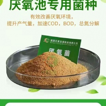 生化池运营微生物厌氧菌