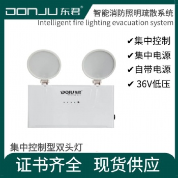 东君双头灯3W集中控制型DJ-02K