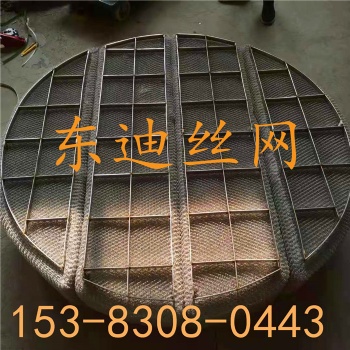 气液分离丝网除雾器 丝网除沫器东迪供应 PP塑料过滤网 化工除沫器 油烟过滤网