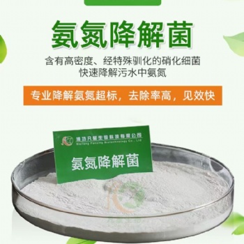 生化池运营微生物氨氮降解菌
