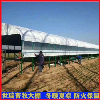 养猪大棚建设 养猪场猪舍规划设计 养猪大棚搭建厂家