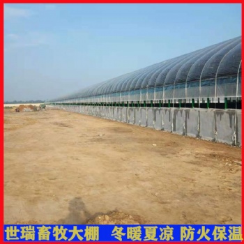 小型养牛场搭建 **养殖大棚建设 牛舍大棚施工厂家