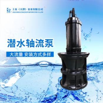 湛江大流量潜水轴流泵
