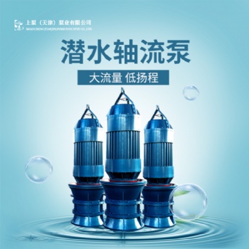 浙江大功率潜水轴流泵防汛抗旱用