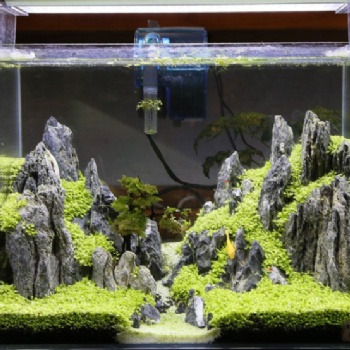 水族青龙石英德假山石园林景观石