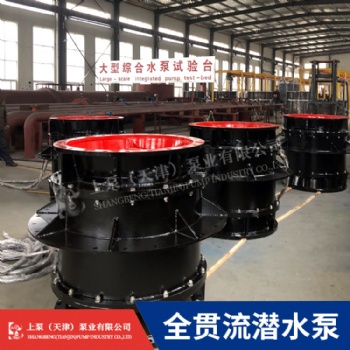 江苏珠海900QGWZ-70大流量双向排水全贯流潜水电泵