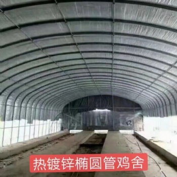 养殖大棚 蔬菜大棚 日光温室大棚 农业大棚