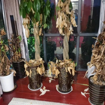 双林学校搬迁服务周到