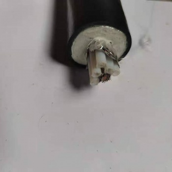 安徽昌普 ** 河北伴热管φ6φ8 脱硫脱硝 在线监测取样管CEMS一体化采样管 防爆电热设备