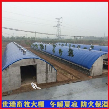 承接养牛棚建设工程 养牛场牛棚规划 肉牛养殖棚施工安装