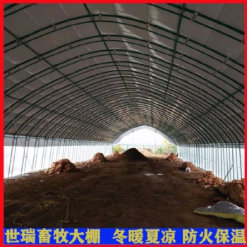 建设养鸭大棚成本 青年鸭养殖棚搭建 养鸭棚施工安装