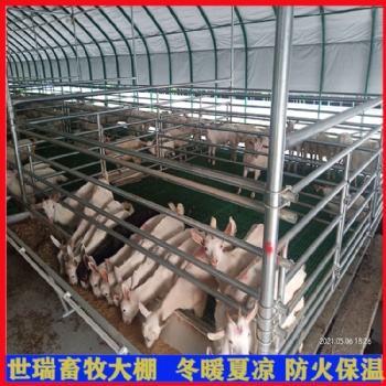 山羊养殖棚搭建 养鸡棚建设材料 养羊棚施工厂家