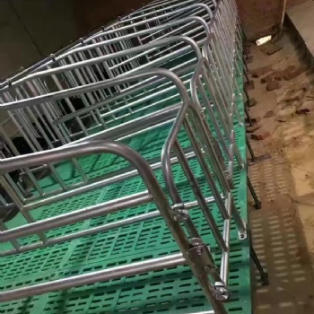 母猪产床限位栏提高养猪场的数量